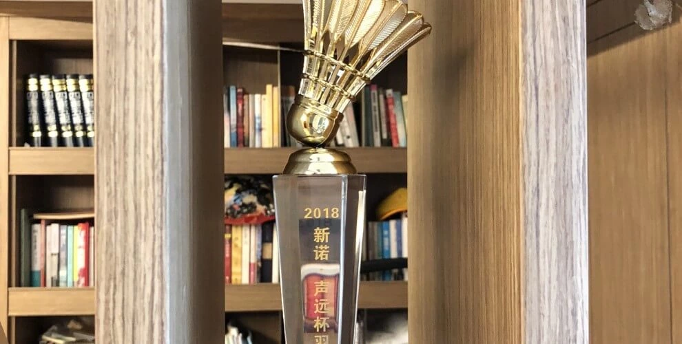 Beltwin Club Badminton Competition :)